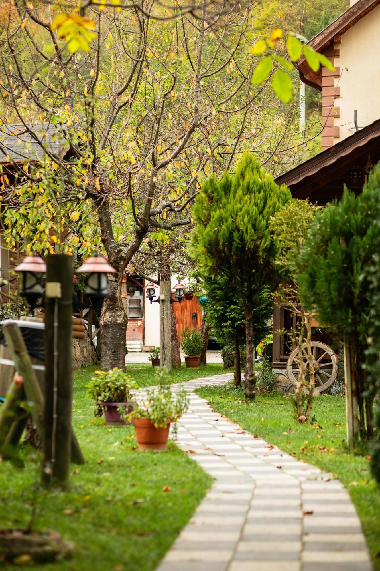Abant Doga Koeskue Bed & Breakfast Bolu Exterior foto